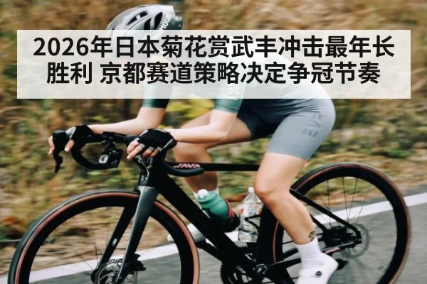 2026年日本菊花赏武丰冲击最年长胜利 京都赛道策略决定争冠节奏
